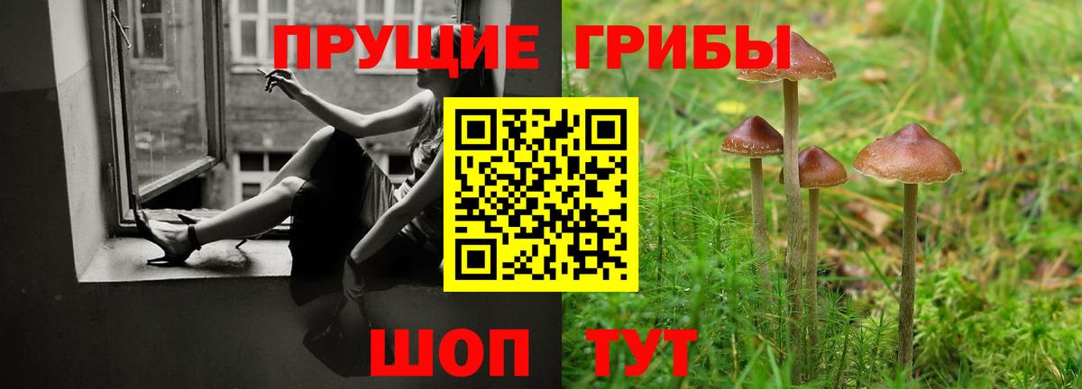 Псилоцибиновые грибы прущие грибы Томск